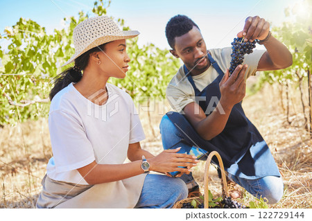 Couple farming with grapes on green farm, farmer working with fruit on a vineyard and people in sustainability work on field in nature. Man and woman gardening sustainable and healthy food in summer Couple farming with grapes on green farm, farmer working with fruit on a vineyard and people in sustainability work on field in nature. Man and woman gardening sustainable and healthy food in summer 122729144