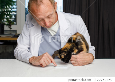 Veterinarian with young cat pet and rapid diagnostic test indoor 122730260
