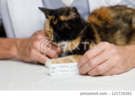 Negative diagnostic test and healthy cat pet in veterinarian indoor Negative diagnostic test and healthy cat pet in veterinarian indoor 122730262