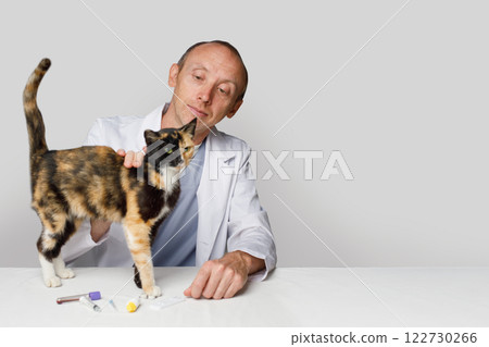 Professional veterinarian doctor examining a cat pet indoor Professional veterinarian doctor examining a cat pet indoor 122730266