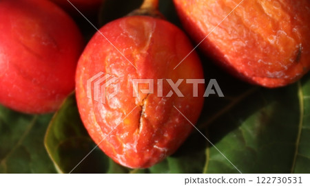 Ripe tamarillo Ripe tamarillo 122730531