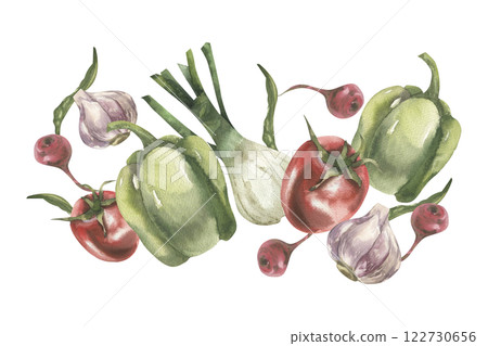 Vegetables watercolor banner with fresh pepper, garlic, red tomato and onion shallot, peace illustration. Hand drawn vegan food clipart for placemat, packing, grocery label, logo design 122730656
