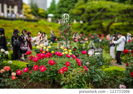 舊古河庭園中的美麗玫瑰 舊古河庭園中的美麗玫瑰 122731006