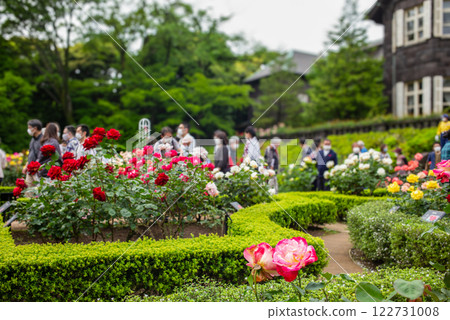 Beautiful roses in the Kyu-Furukawa Gardens Beautiful roses in the Kyu-Furukawa Gardens 122731008