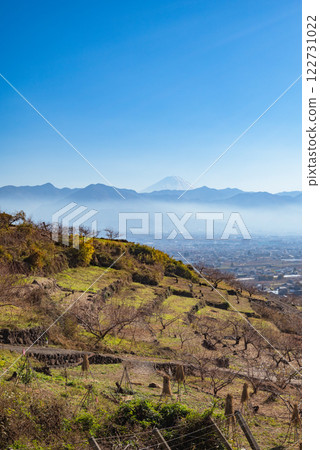 View of the Kofu Basin and Mt. Fuji from the Fruit Line [Yamanashi City] 122731022