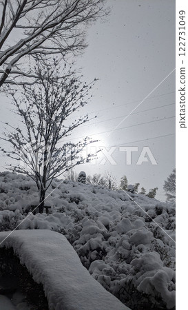 Snowy Nakanojo Gardens Gunma Prefecture 122731049
