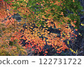 Yellow maple leaves on the banks of a valley 122731722