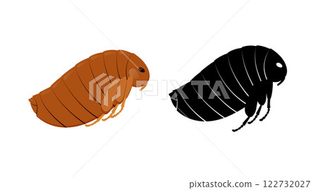Flea insect and its silhouette showing segmented body, legs and large eye Flea insect and its silhouette showing segmented body, legs and large eye 122732027
