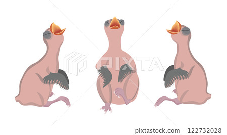 Three baby birds waiting for food with open beak Three baby birds waiting for food with open beak 122732028