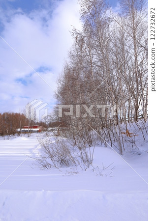 《北海道》北海道的冬天：樹木與雪景 122732672