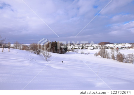 Hokkaido in winter: Trees and snowy scenery Hokkaido in winter: Trees and snowy scenery 122732674