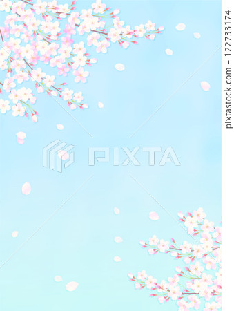 Background illustration of cherry blossoms in full bloom and blue sky 122733174