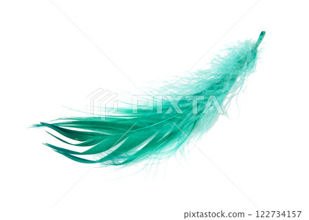Green elegant bird feather isolated on the white background Green elegant bird feather isolated on the white background 122734157