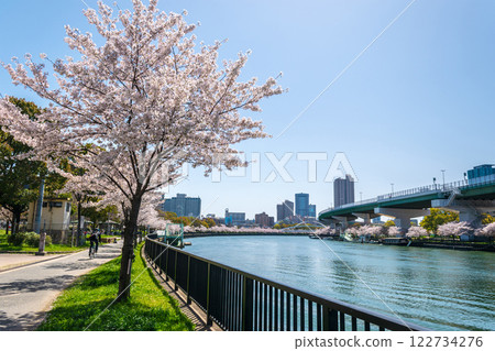 Cherry blossom trees along the Okawa River in Kema Sakuranomiya Park, Osaka City 122734276