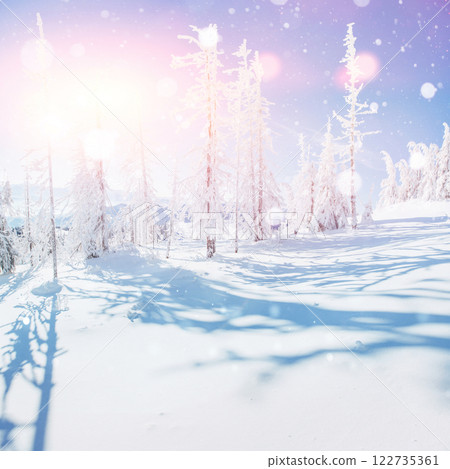 winter landscape trees and fence in hoarfrost, background with some soft highlights and snow flakes winter landscape trees and fence in hoarfrost, background with some soft highlights and snow flakes 122735361