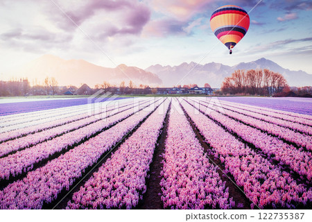 A beautiful field of flowers in Holland. Balloons in the background. Fantastic spring event A beautiful field of flowers in Holland. Balloons in the background. Fantastic spring event 122735387
