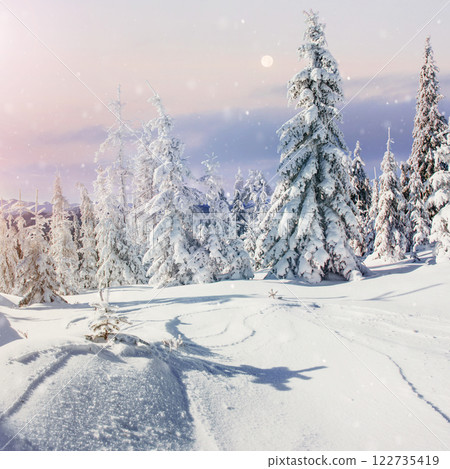 winter landscape trees and fence in hoarfrost, background with some soft highlights and snow flakes 122735419