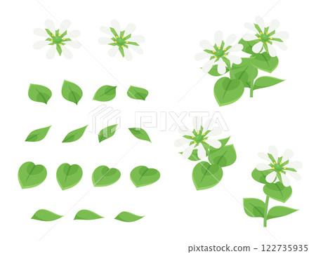 繁縷花葉插畫素材集 122735935