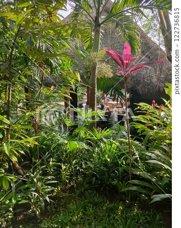 Tropical plants of balinese garden at Ubud Tropical plants of balinese garden at Ubud 122736815