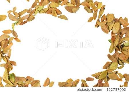 Cutout of leaf texture background with copy space and clipping paths on white background. Ideal for graphic design, card making, and nature themed creative projects. Cutout of leaf texture background with copy space and clipping paths on white background. Ideal for graphic design, card making, and nature themed creative projects. 122737002