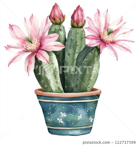 Watercolor style depiction of cactus with pink flowers in pot, showcasing vibrant colors and natural beauty 122737399