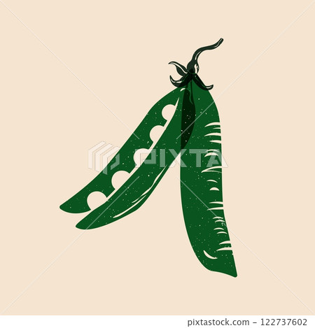 Green pea pod. Abstract risograph fresh green peas in pod with seeds, organic vegetarian food, healthy diet nutrition ingredient flat style. Vector isolated illustration 122737602
