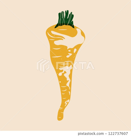 Parsnip. Cartoon fresh root vegetable risograph style, healthy organic food, natural agriculture product, green garden plant linocut print effect. Vector illustration Parsnip. Cartoon fresh root vegetable risograph style, healthy organic food, natural agriculture product, green garden plant linocut print effect. Vector illustration 122737607