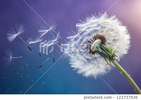 A close-up, macro photograph of a dandelion with seeds blowing away in the wind. The dandelion is in full bloom, with a large, fluffy white seed head. Several dandelion seeds are visible in the air 122737836