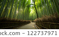 A photorealistic image of a dense bamboo 122737971
