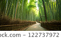 A photorealistic image of a dense bamboo 122737972
