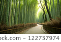 A photorealistic image of a dense bamboo 122737974