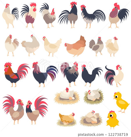 Farm Animals. Cute farm. Set of roosters and hens. Collection of farm animals. Baby flat vector illustration. Isolated 122738719