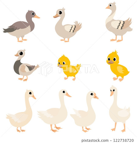Farm Animals. Cute farm. Set of ducks and geese. Collection of farm animals. Baby flat vector illustration. Isolated Farm Animals. Cute farm. Set of ducks and geese. Collection of farm animals. Baby flat vector illustration. Isolated 122738720