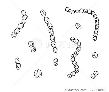 Vector set of hand drawn streptococci bacteria in black and white. Medical line art illustration depicting microbial infection. Ideal for disease prevention designs 122738912
