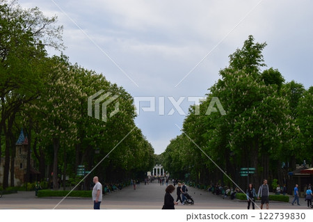 Kharkov, Ukraine, 14 May 2024. A tree-lined walkway in an urban park setting. Kharkov, Ukraine, 14 May 2024. A tree-lined walkway in an urban park setting. 122739830