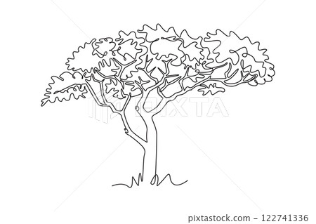 Single one line drawing of exotic and beauty marula tree. Decorative sclerocarya birrea for greeting post card. World tourism and travel. Modern continuous line draw design graphic vector illustration Single one line drawing of exotic and beauty marula tree. Decorative sclerocarya birrea for greeting post card. World tourism and travel. Modern continuous line draw design graphic vector illustration 122741336