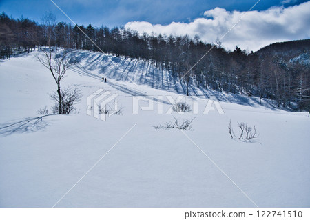 冬天的早晨濕地 冬天的早晨濕地 122741510