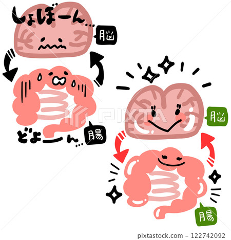 Brain and intestinal relationship 122742092