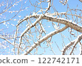 雪地 122742171