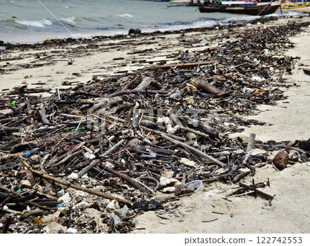 A beach heavily littered with wood and plastic A beach heavily littered with wood and plastic 122742553