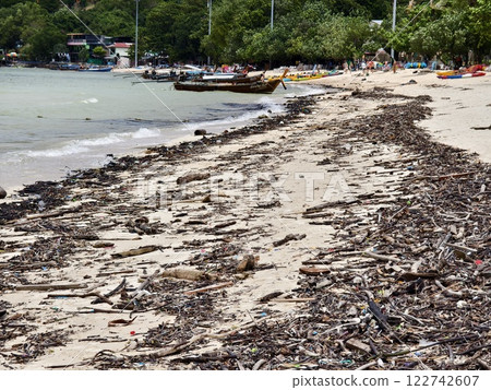 A beach heavily littered with wood and plastic A beach heavily littered with wood and plastic 122742607