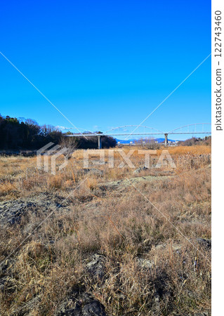 A riverbank where whooper swans live to hibernate in the winter, Arakawa River main stream, Fukaya City, Former Kawamoto district A riverbank where whooper swans live to hibernate in the winter, Arakawa River main stream, Fukaya City, Former Kawamoto district 122743460