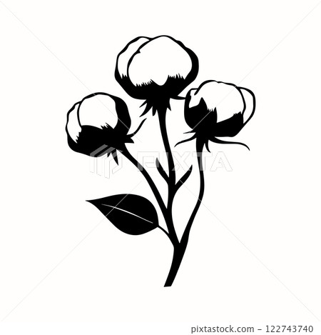 Outline cotton branch in engraving style isolated on white background. Silhouette cotton bud on stem with leaves 122743740