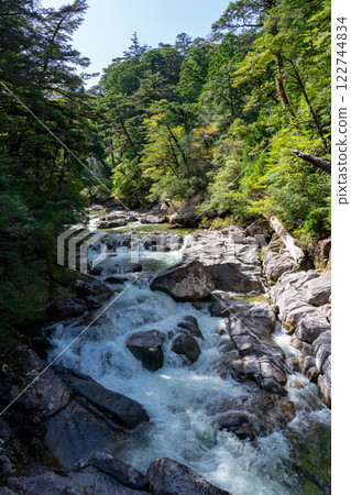 Yakushima land of Yakushima 122744834