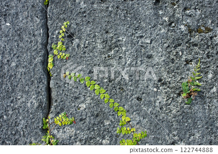 沖繩由琉球石灰岩的崎嶇岩石表面支撐。沖繩群島是日本最古老人類的家。永恆的時間流逝。 122744888