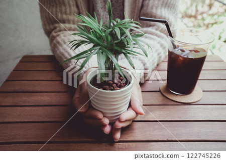 一個女人雙手捧著盆栽植物 一個女人雙手捧著盆栽植物 122745226