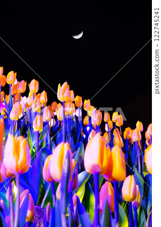 Crescent moon and tulips 122745241