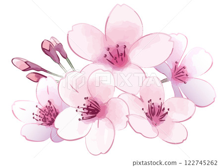 櫻花花環。手繪花朵。 櫻花花環。手繪花朵。 122745262