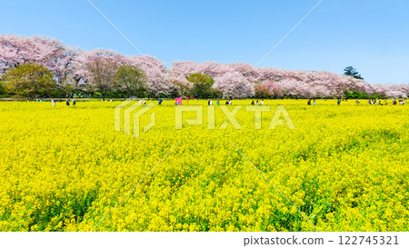 Gyodo神社 122745321