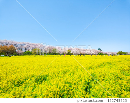 Gyodo神社 122745323